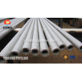 Aço inoxidável duplex tubo ASTM A789 S32205